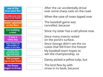 Comprehension/Cause and Effect