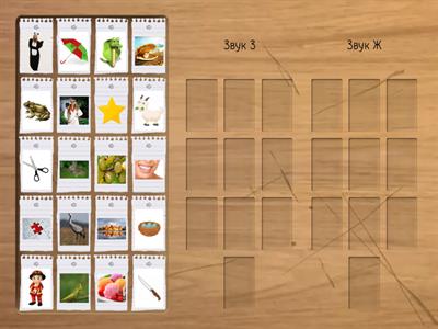 Дифференциация З - Ж