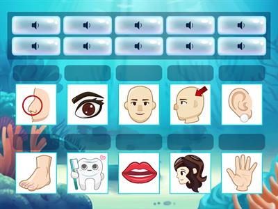 聽力測驗-看圖示字-1.身體部位-巒群初級認證