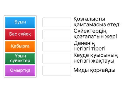 қаңқа бөлімдері мен олардың қызметтерін сәйкестендіру