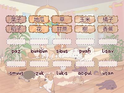 9.植(食)物/水果-郡群初級認證