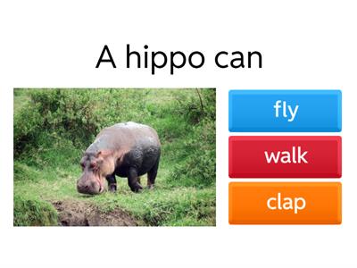 What can animals do ?