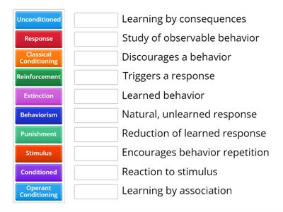 Behavioural Perspective Match-Up