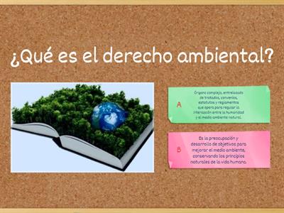 DESARROLLO SUSTENTABLE