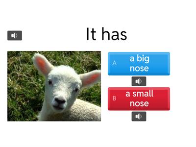 \body parts big small long short