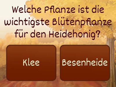 Hörverstehen - Heidehonig