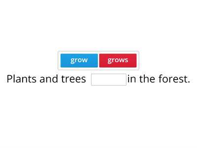 Subject-Verb Agreement