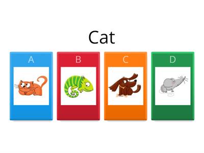 Animals Quiz