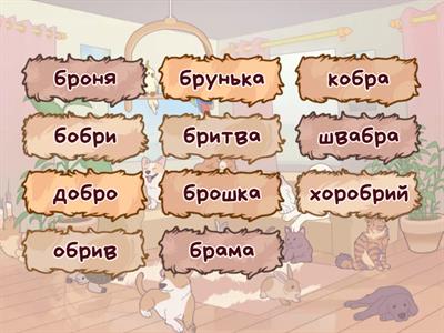 котики меми 23.05 Назарові