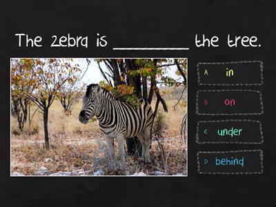 Choose the correct option