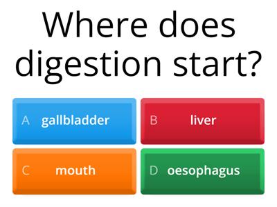 Digestive System Quiz