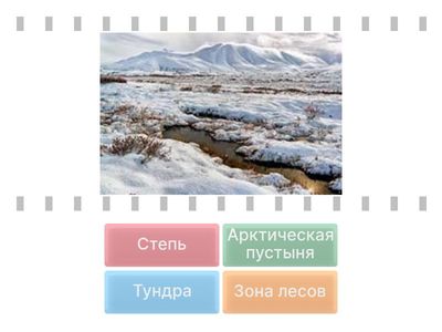 Природные зоны