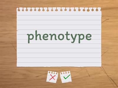 Flashcards - Genetic inheritance terminology 