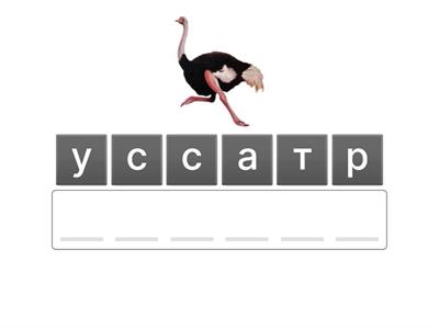 Анаграмма животные РКИ