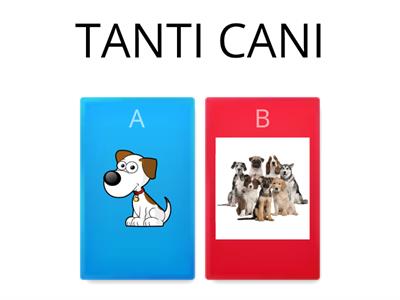 TANTI - POCHI