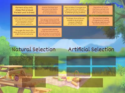 Natural vs. Artificial Selection Sorting
