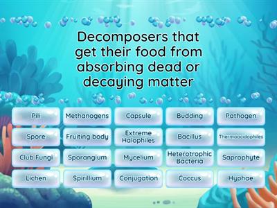  Fungi, Bacteria, and Viruses