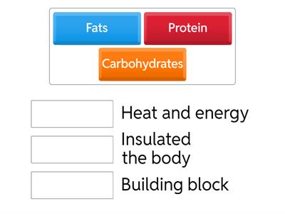 Macro-nutrients - Match nutrients with their functions(Job) in the body