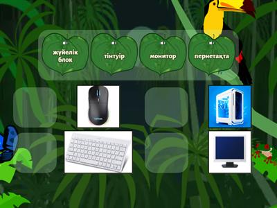 Цифрлық сауаттылық