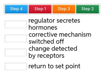 Negative Feedback Mechanism