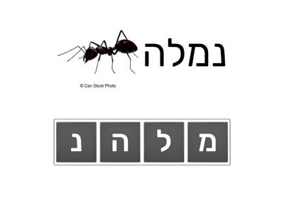 התאמת רצף אותיות למילה