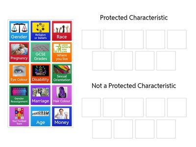 What are the 9 Protected Characteristics?