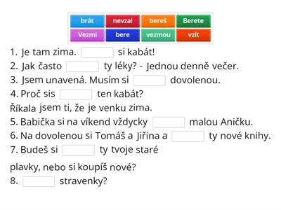 Vzít / brát