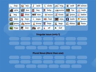 Mrs. Cook's Singular and Plural Noun Sort