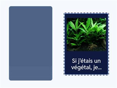 B1.4 - Le portrait chinois