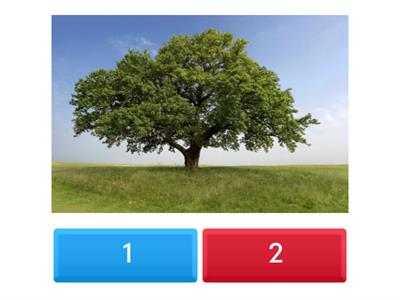 Counting Number of objects and shapes