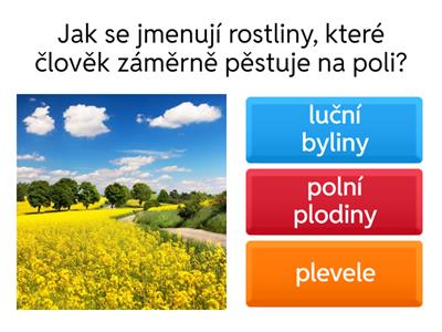 Ekosystém pole