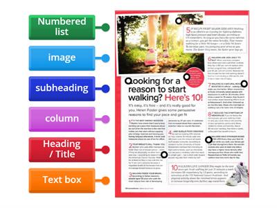  Article  - Organisational (layout) Features