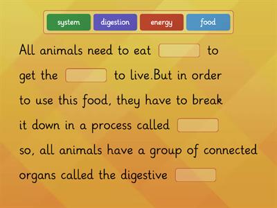 THE DIGESTION PROCESS