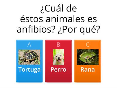 Animales 