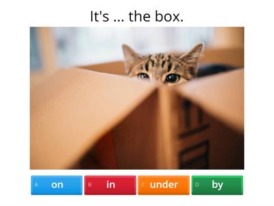 Where is the cat? - Prepositions of place: ON, IN, UNDER, BY