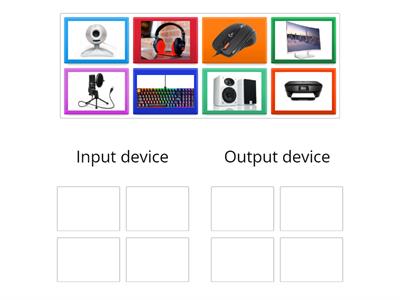 Input and Output devices