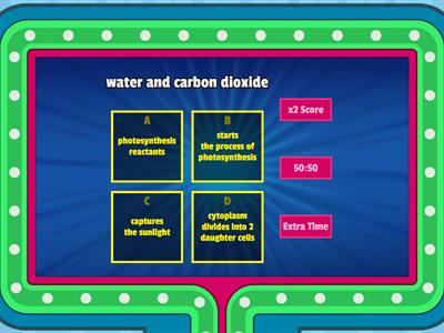 Game Show:  Cell Processes
