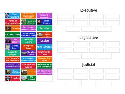 Separation of Powers (U.S. Branches of Government) 