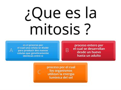 mitosis y sus fases 