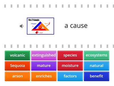  Forest Fires     (DIBELS ORF 6.5)           Find the Match   HOZ 