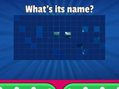 GUESS THE NAME OF THE ANIMAL