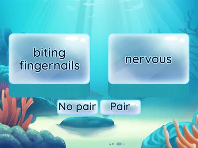 Behavior/Trait Match