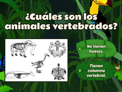 Animales vertebrados e invertebrados