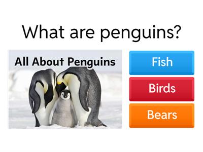 04 All about penguins