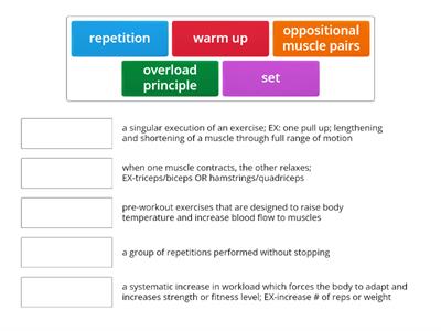 Weight Training Vocabulary Match Up