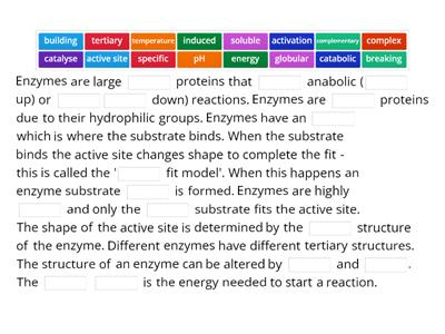 Enzyme key characteristics