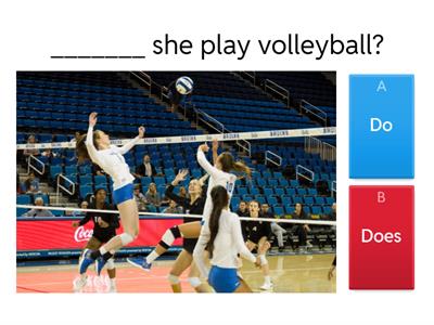 Present Simple - questions do / does