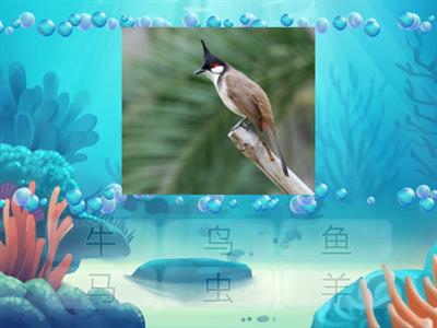 Дошкольная программа, 1 год обучения, тема животные