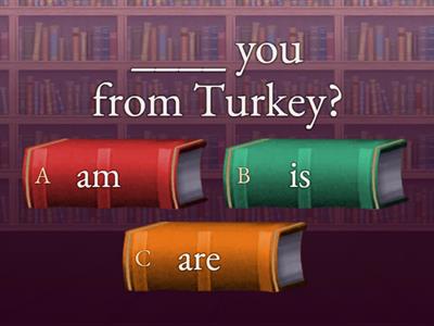 English File Beginner Unit 1B