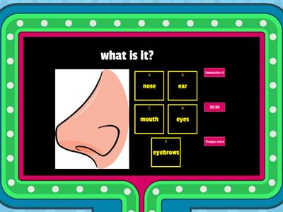 Parts of the face 